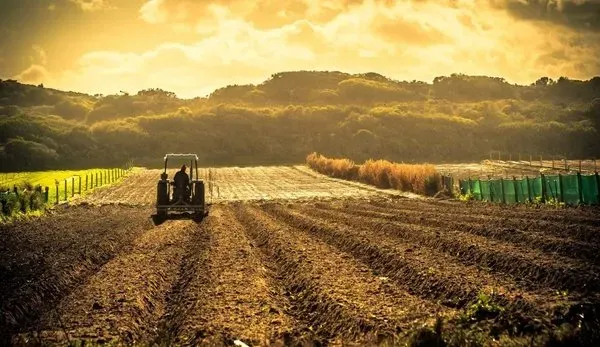 2023 yılı mazot ve gübre destekleri hesaplara yattı!