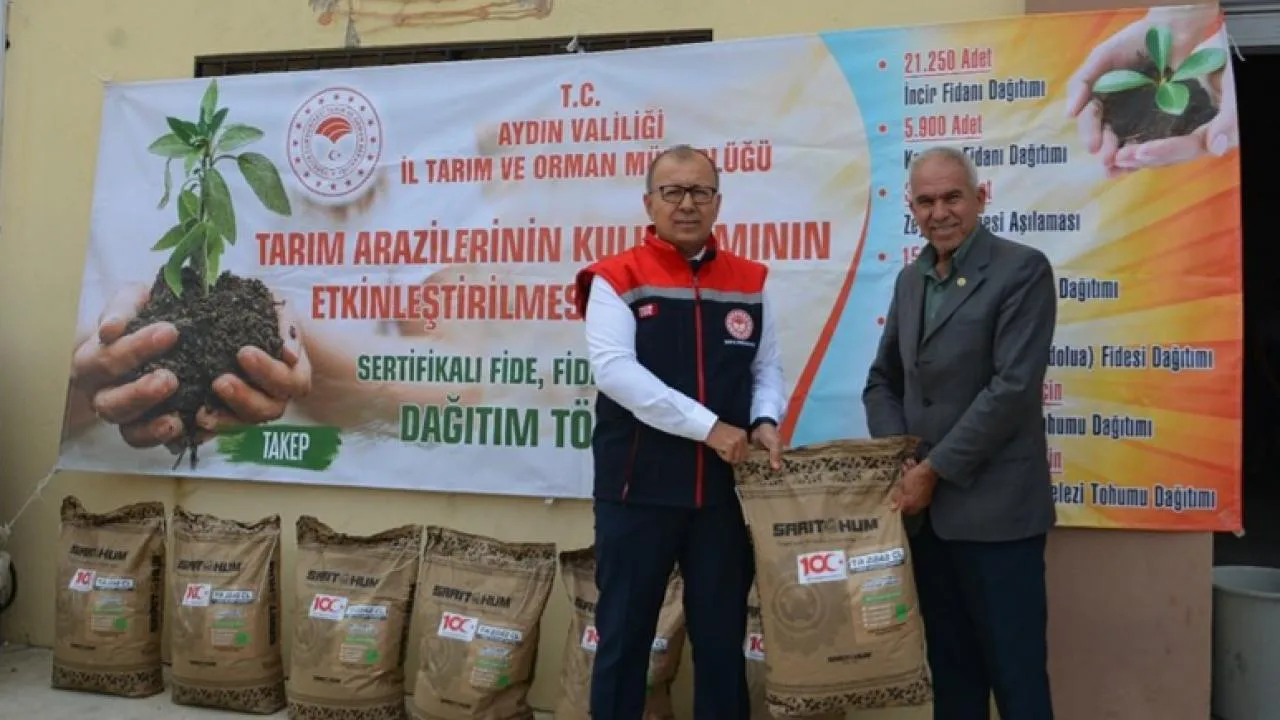 Aydın'da yağlık ayçiçeği tohumu dağıtıldı