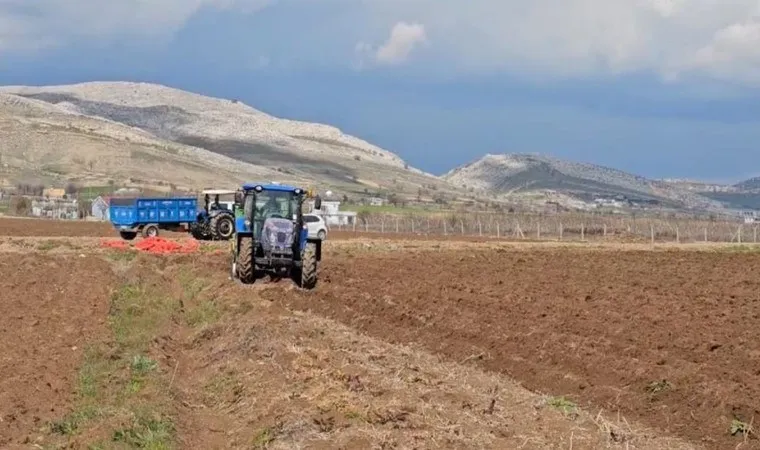 Mersin'de dönüm başı 4 ton ürün: Kilosu 80 TL