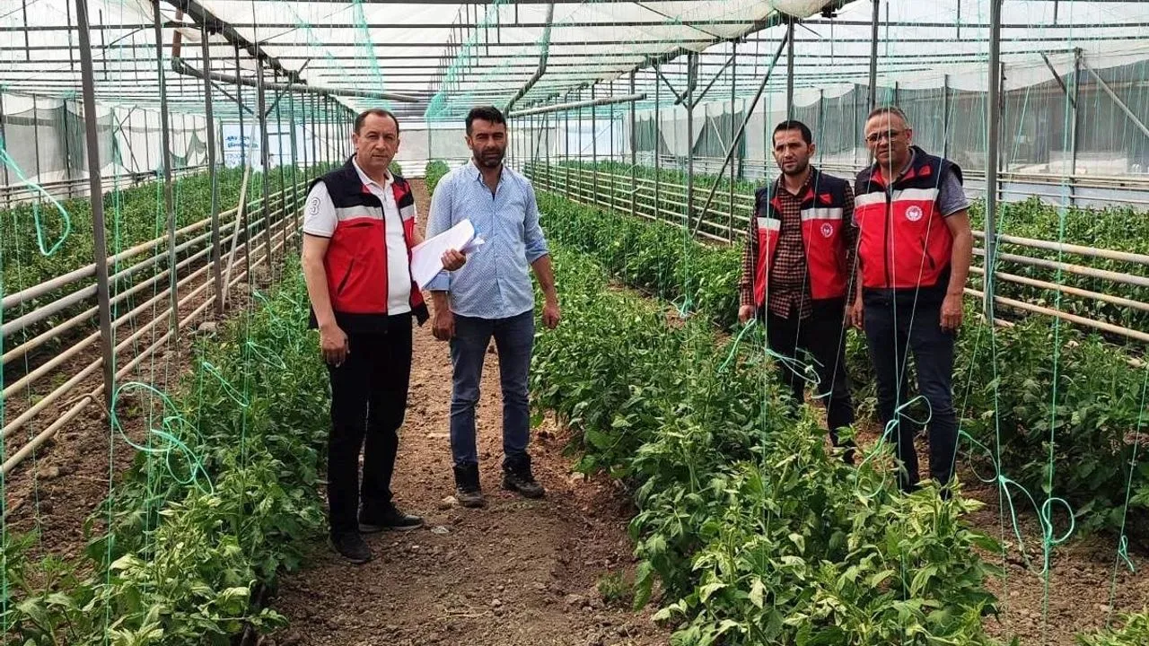 Simav’da yeni seraların tespitleri ve ürün kontrolleri yapıldı