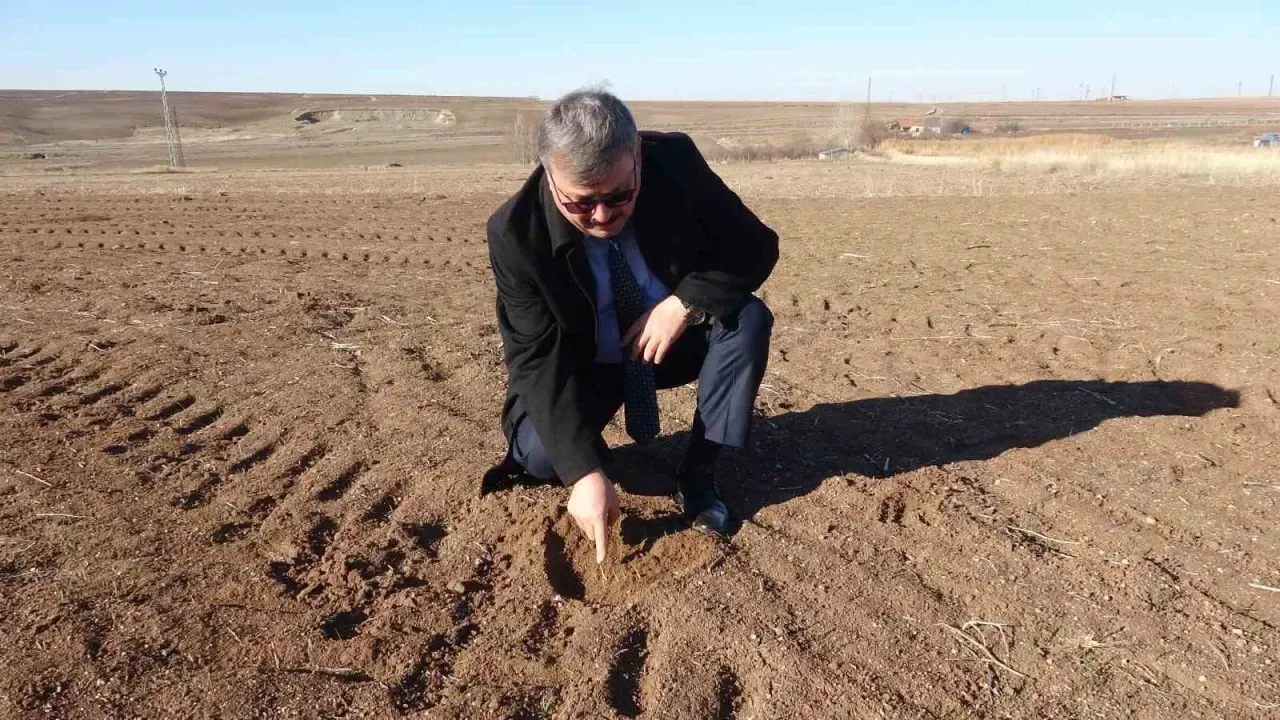 Bilinçsiz ilaçlama doğal dengeyi bozdu!