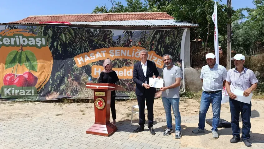 Çeribaşı kirazının hasat sezonu şenliklerle başladı