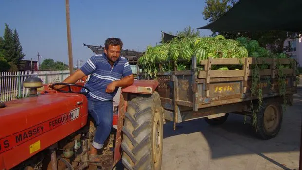 Tarımda üretici enflasyonu Haziran'da yükselişine devam etti