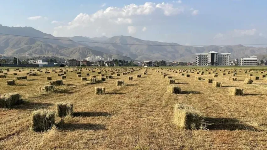 Yüksekova’da yağışlar verimliliği artırdı!