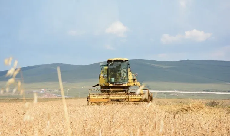 Ardahan'da 13 bin yıllık hasat!