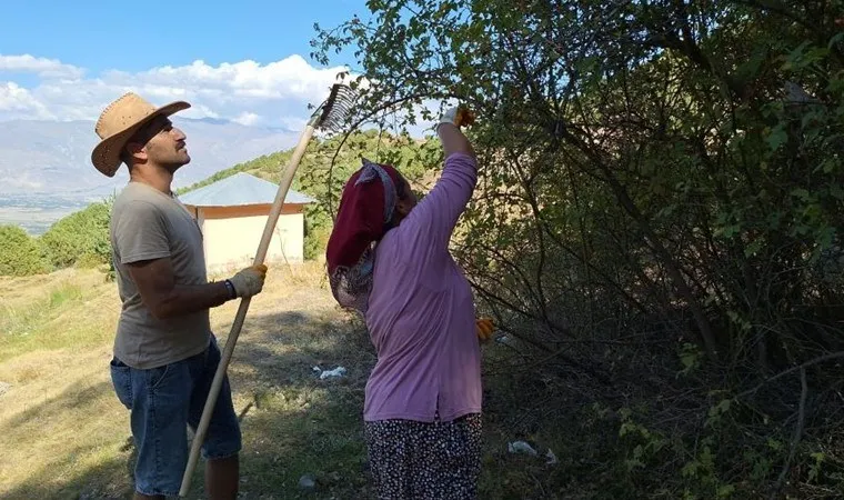 Erzincan'da zorlu arazide hasat başladı!