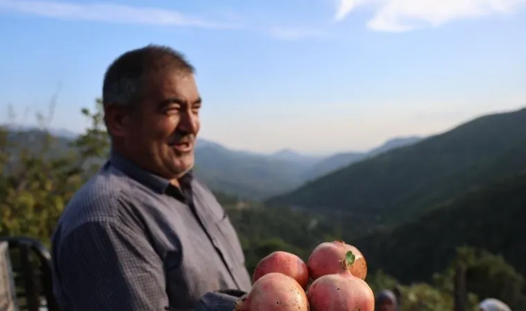 Kozan'da hasat zamanı: Bahçede 20 lira!