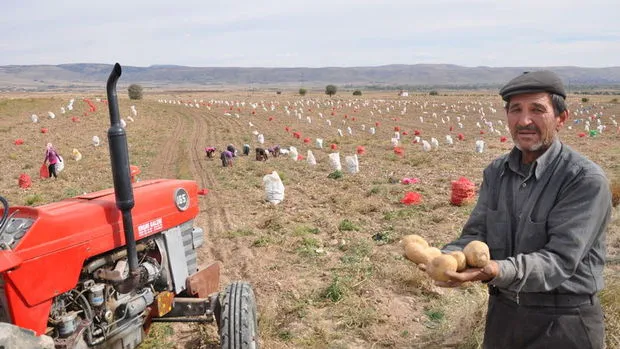 Tarımda üretici enflasyonu Eylül'de aylık yükselişine devam etti