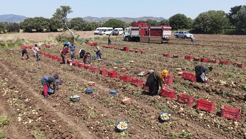 Ziraat odalarından 'Devlet patates-soğanı alıp dağıtsın' önerisi geldi!