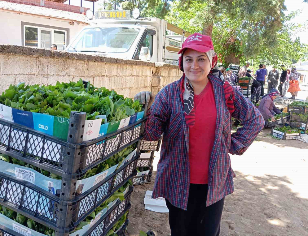 Sarıgöl’de bağ yaprağı sezonu açıldı Sarıgöl’de bağ yaprağı sezonu açıldı