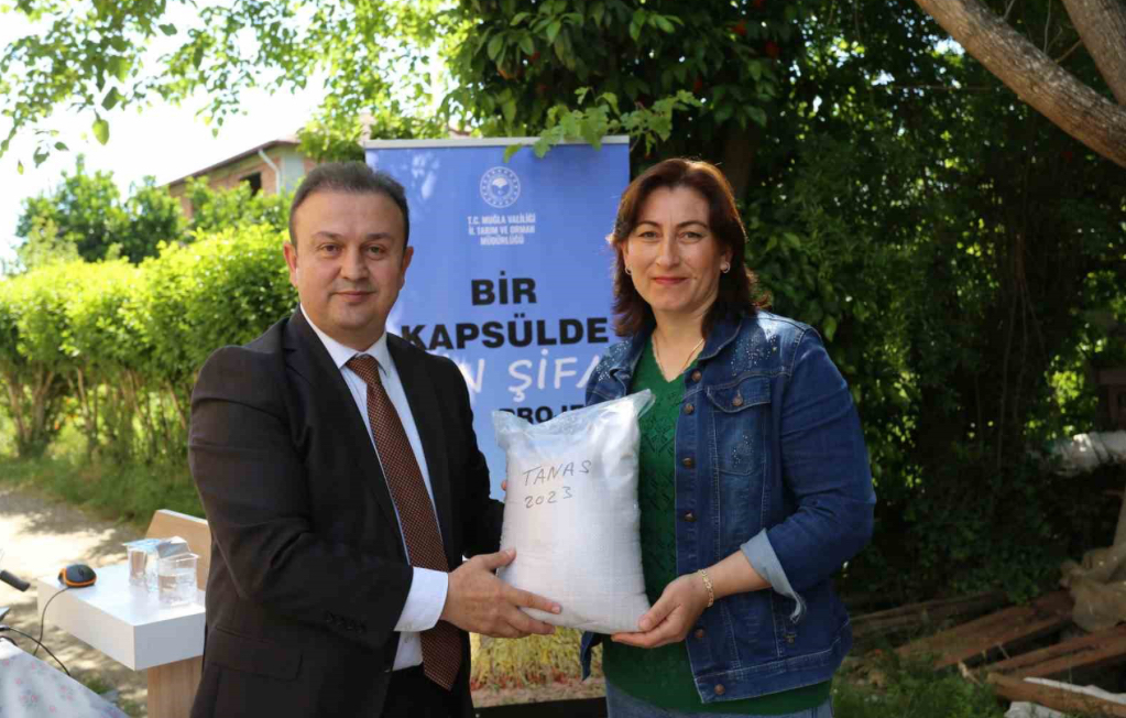 Köyceğizli üreticilere yerli Susam tohumu dağıtıldı