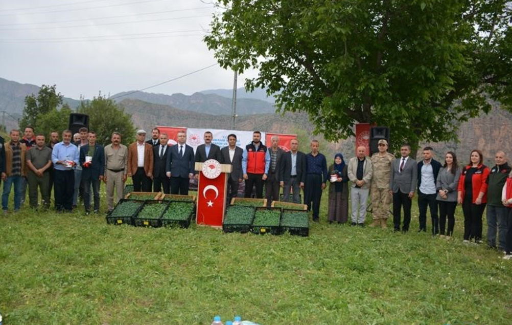 Çiftçiye hüzde 75 Hibeyle Fide Desteği