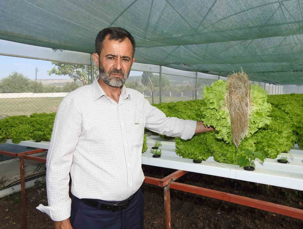 Topraksız Tarımla 30 Günde Marul Yetiştirdi