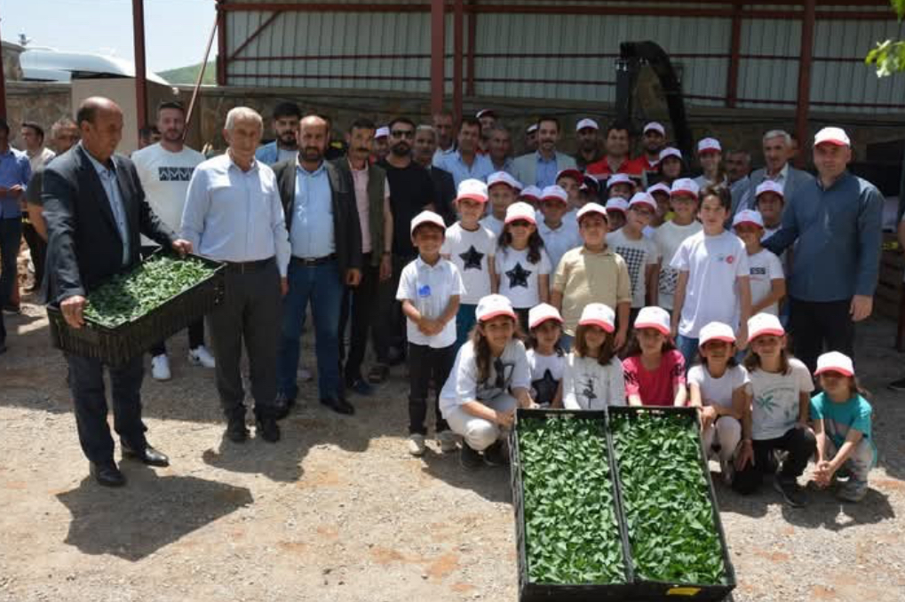 Güroymak’ta fide ve tohum dağıtımı yapıldı Güroymak’ta fide ve tohum dağıtımı yapıldı