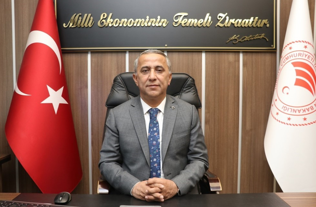 Kahverengi kokarcada mücadele zamanı