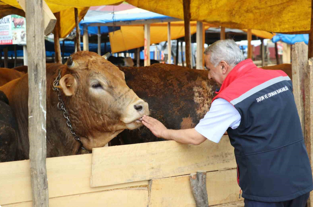 Kurbanlık Alacaklar Dikkat: İl Tarım Müdürü’nden Kritik Açıklamalar