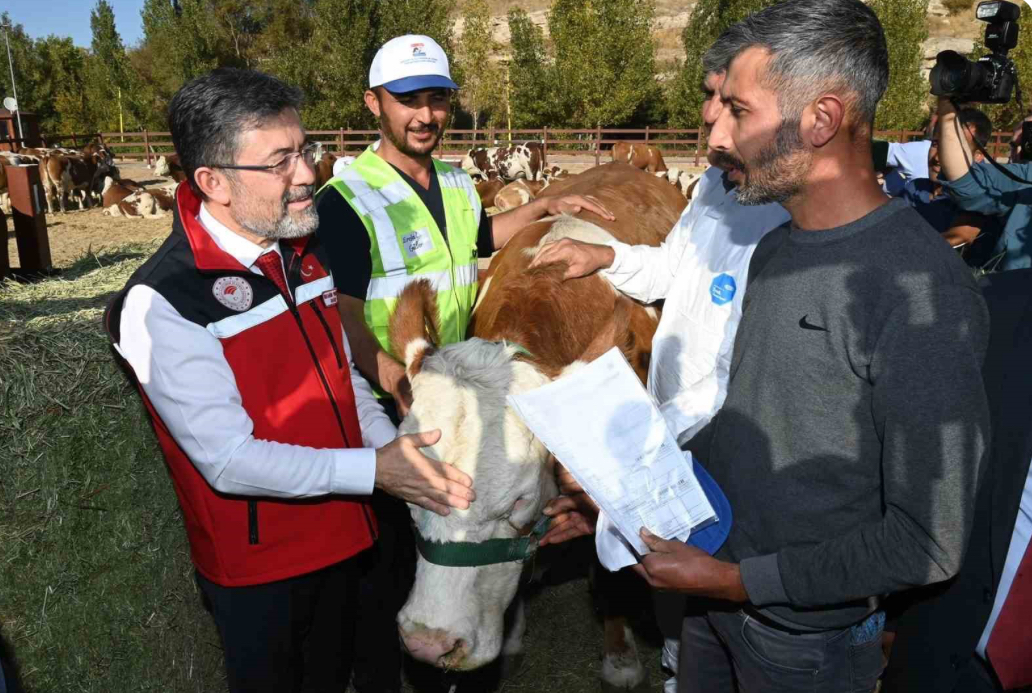 Kurban Bayramı’nda 3,3 Milyon Hayvan Kesildi Kurban Bayramı’nda 3,3 Milyon Hayvan Kesildi