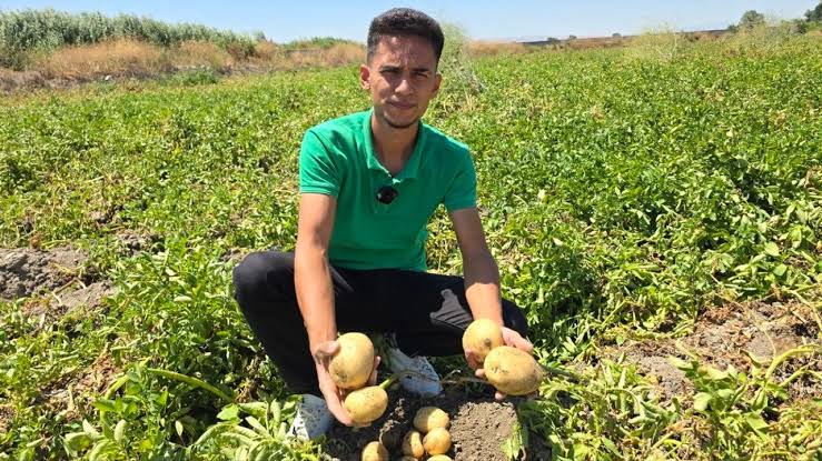 Amasya’da genç çiftçi, 8 ton patatesi halka ücretsiz dağıttı Amasya’da genç çiftçi, 8 ton patatesi halka ücretsiz dağıttı