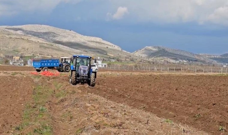 Ergani'de ekim başladı! Sofraların vazgeçilmezi